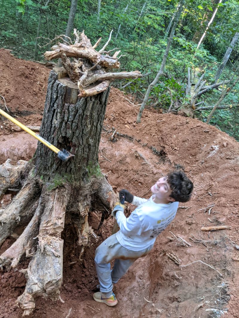 Active work and persistence